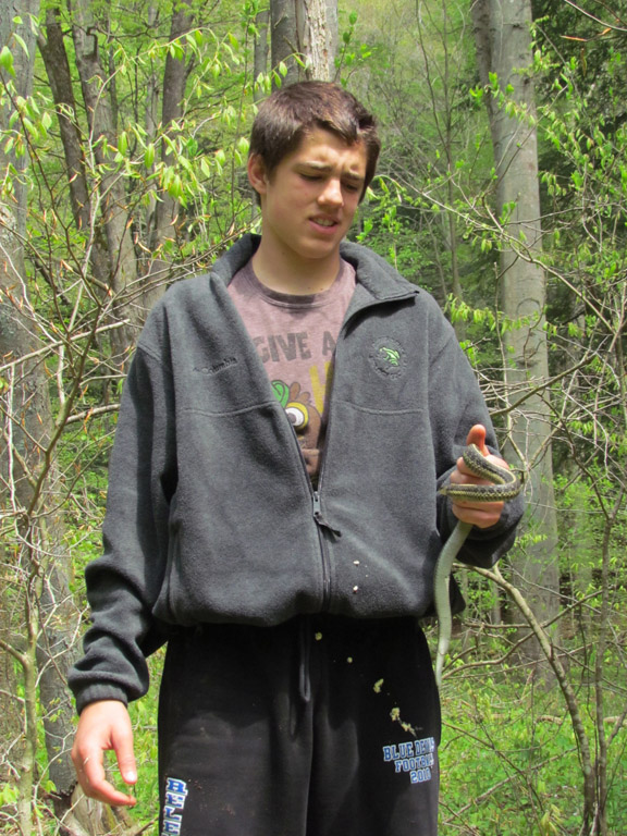 Eastern Garter Snake